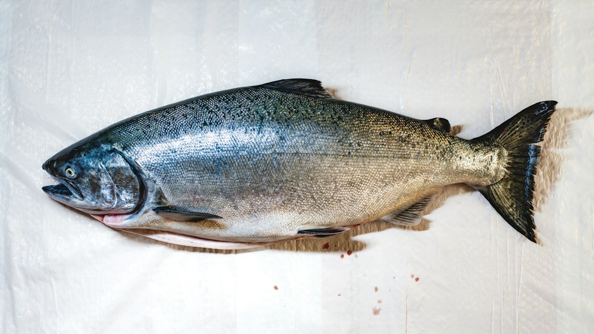 Omega-3 Fettsäuren